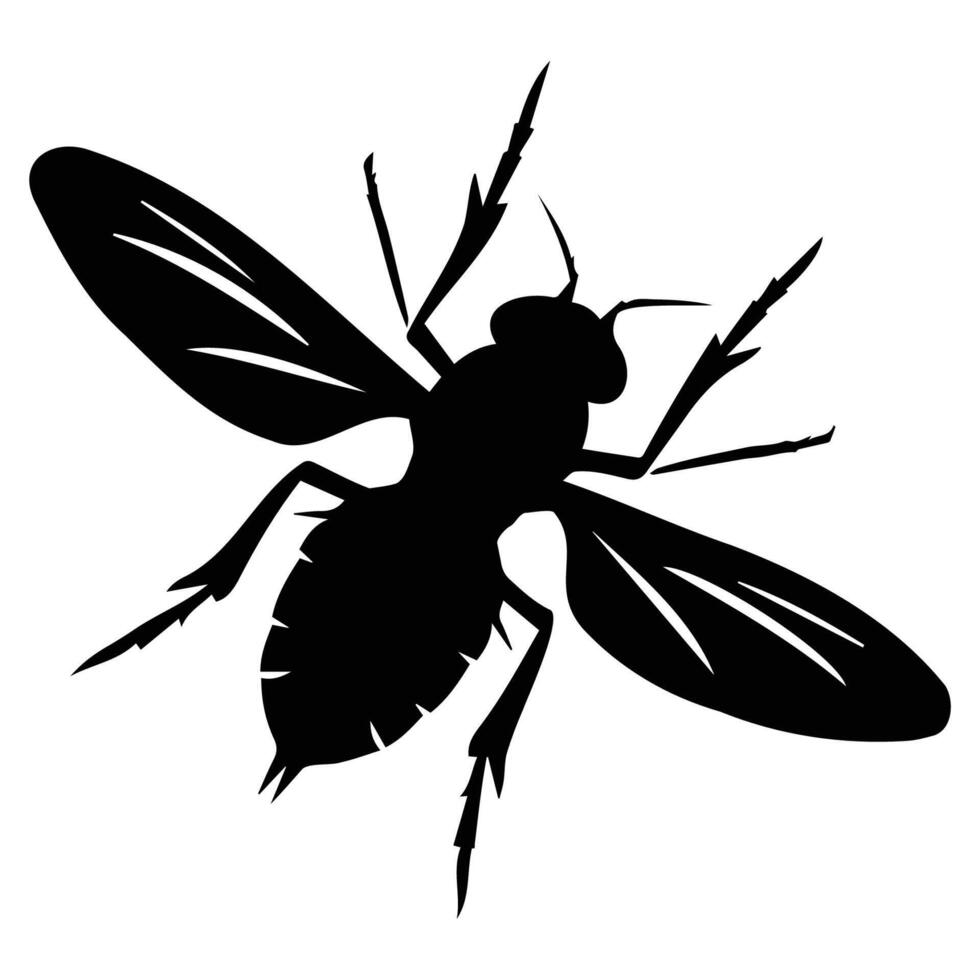 Silhouette of Insect with Wings and Antennae vector