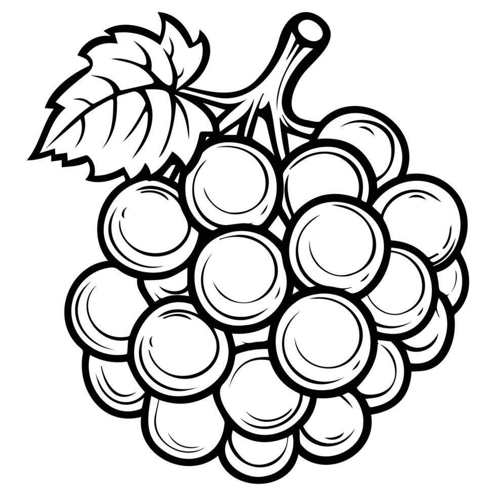 Hand-drawn Grapes with Leaf Illustration vector
