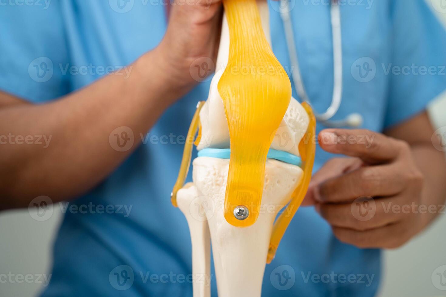 Asian doctor present knee joint model for elderly patient to surgery orthopedic. photo