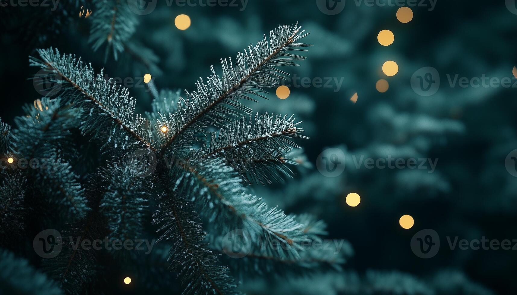 Dark green pine tree and branch with snow and yellow light blurred photo