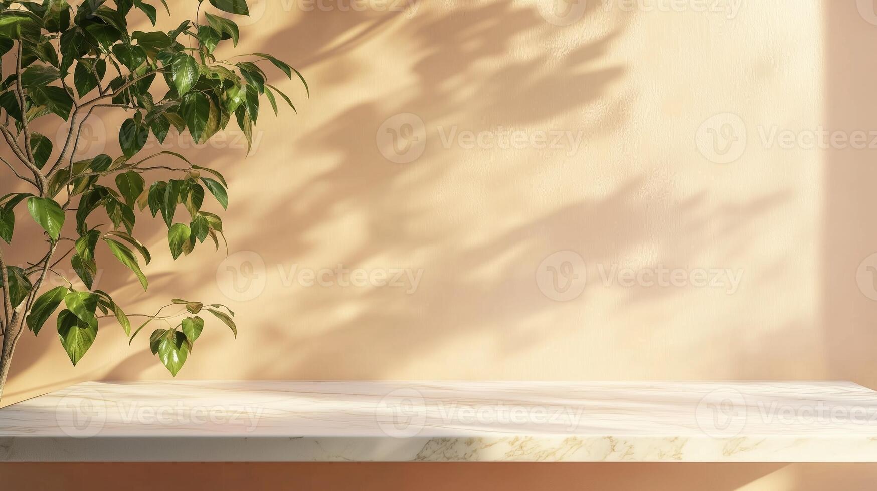 Table top white marble counter peach cement wall with shadow sunlight from plant photo