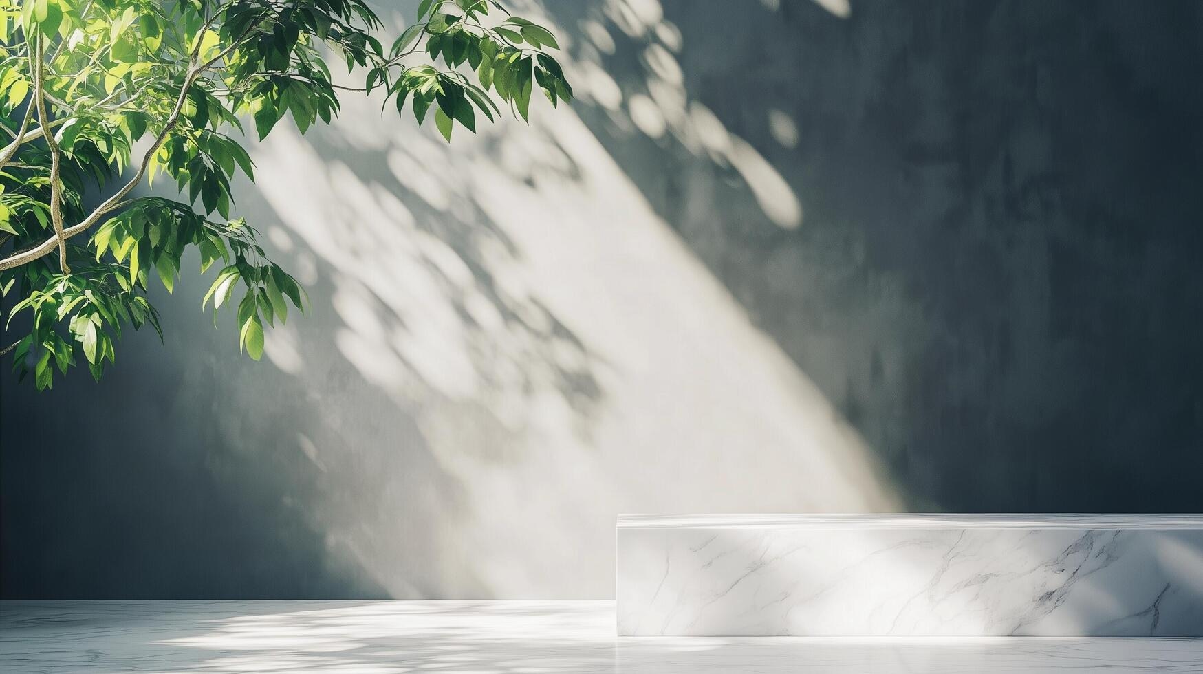 Table top white marble counter grey cement wall with shadow sunlight from plant photo