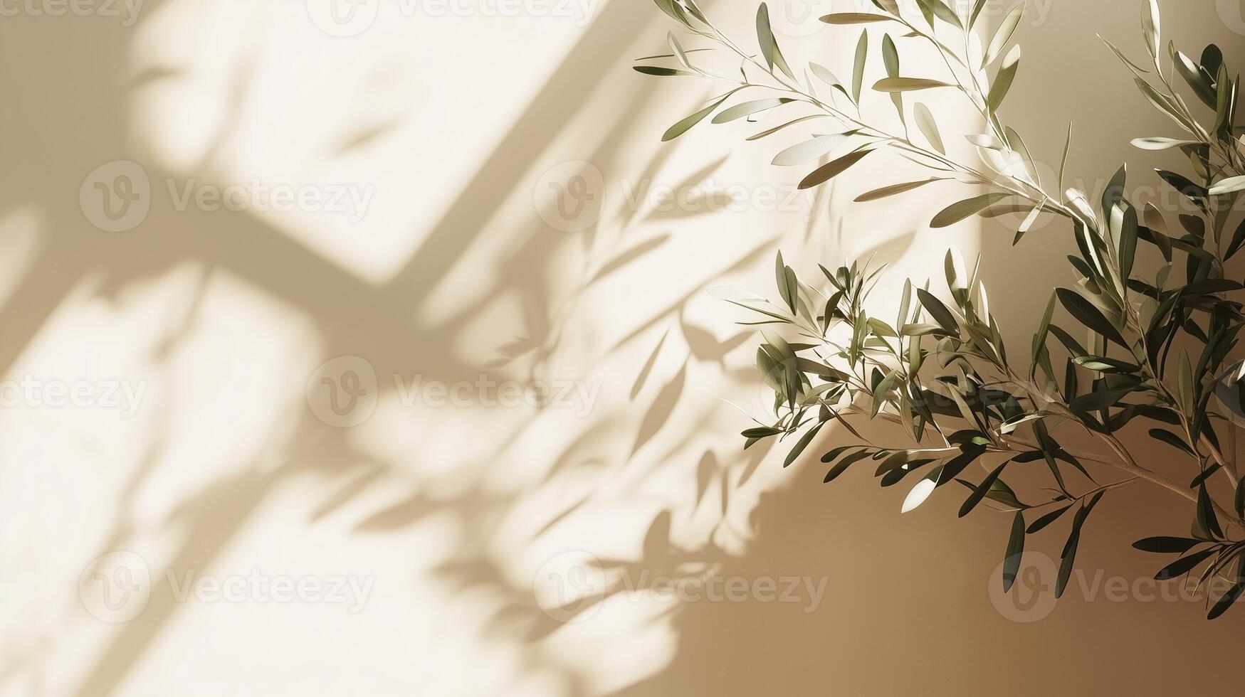 Blank wall building with shadow sunlight light from window and plant copy space background photo
