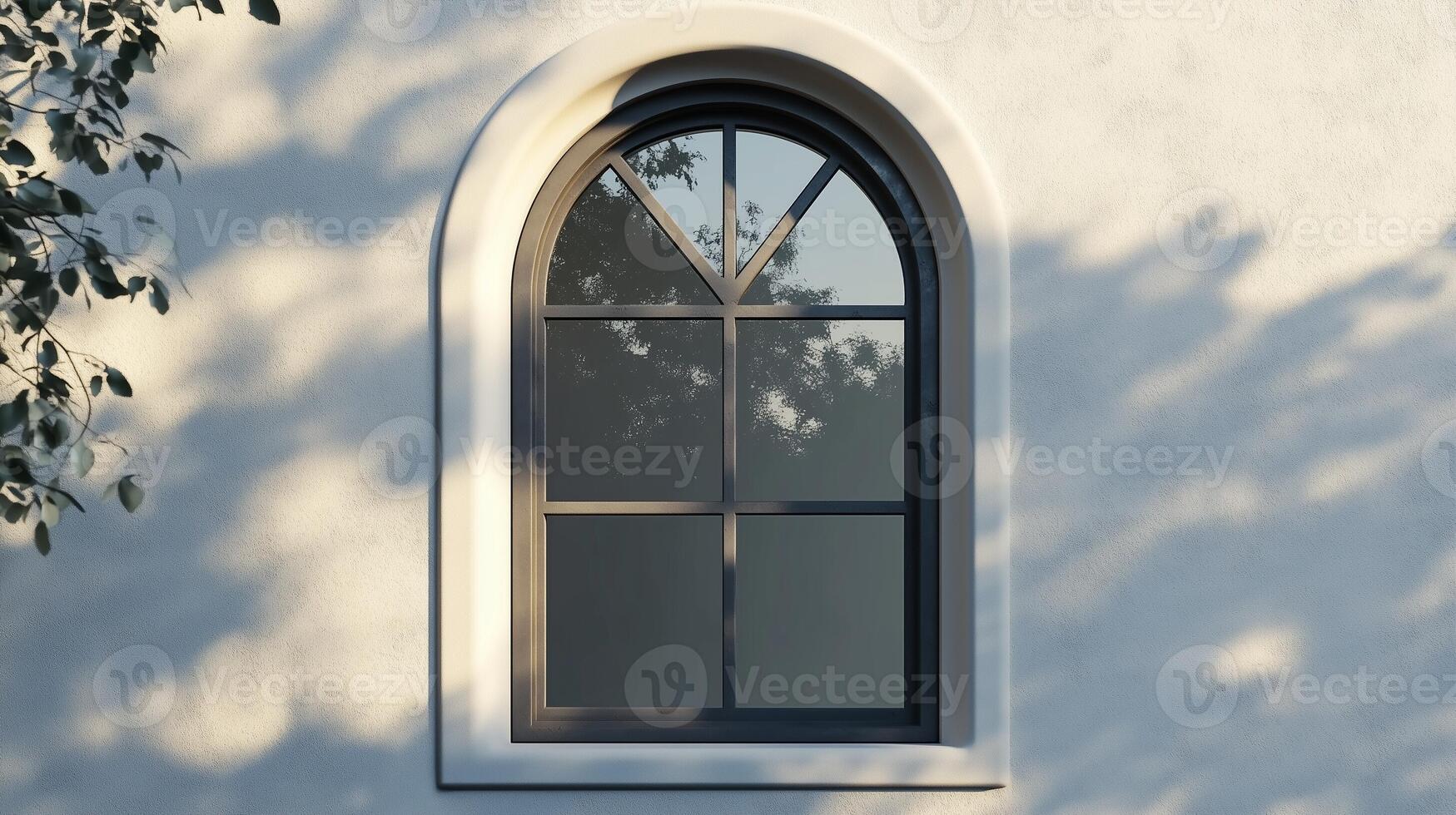 Aesthetic arch window shape on white wall with shadow leaves tree classing building architecture photo
