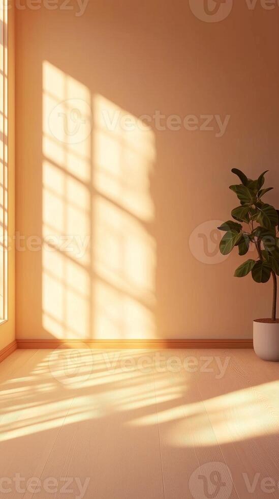 Peach wall with shadow sun light from window in living room minimalist story background photo