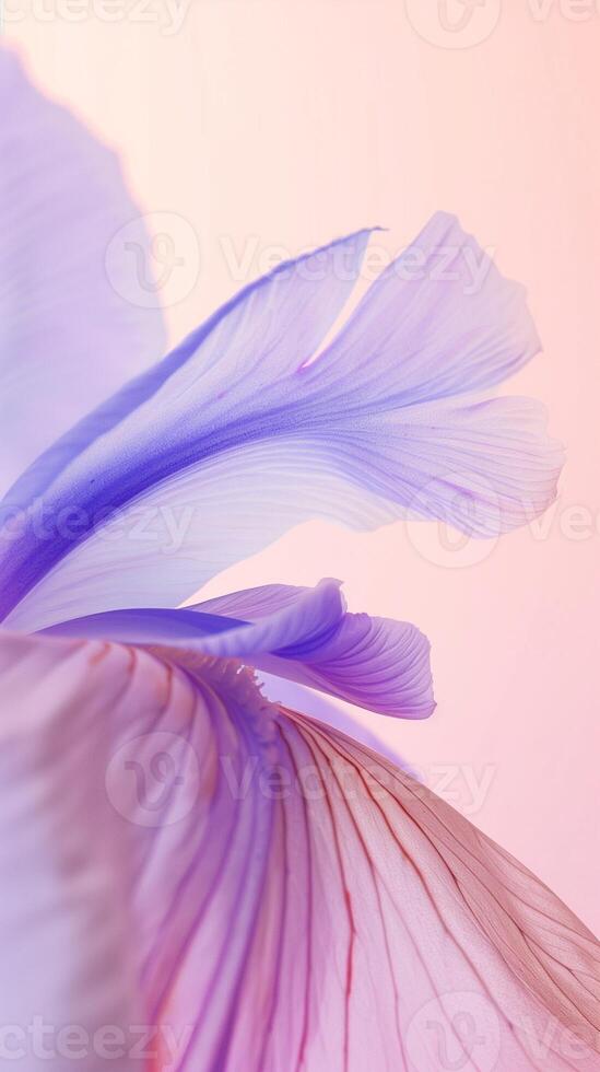 Iris flower with leaves beauty blooming petal story pastel background photo
