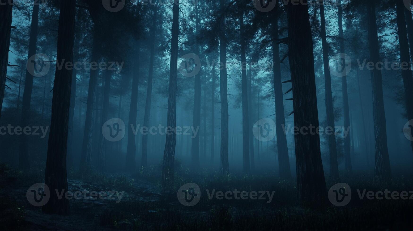 Blue scent dark pine forest with foggy mysterious effect nature park photo