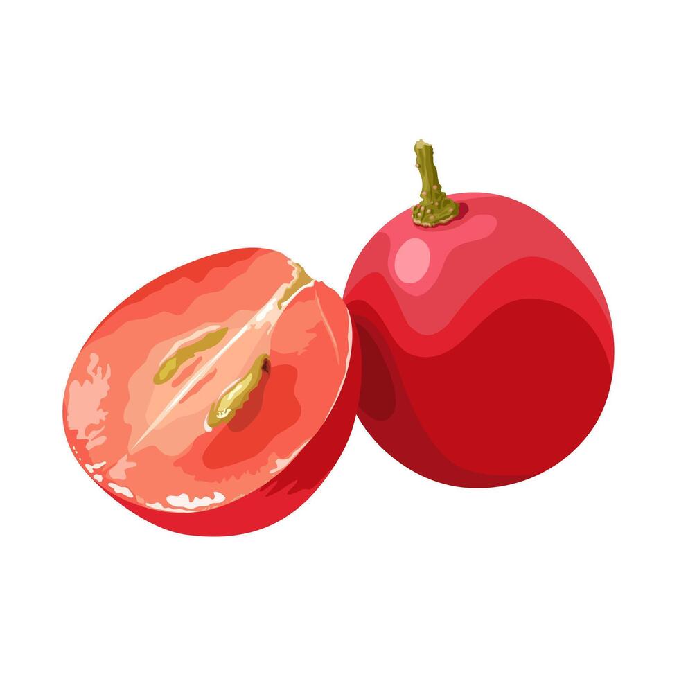 Illustration of whole and halved red grapes, isolated on white background. vector