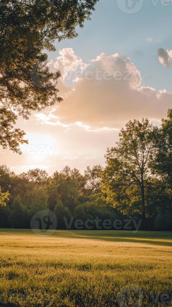 Gentle sunset over a serene countryside field with lush greenery photo
