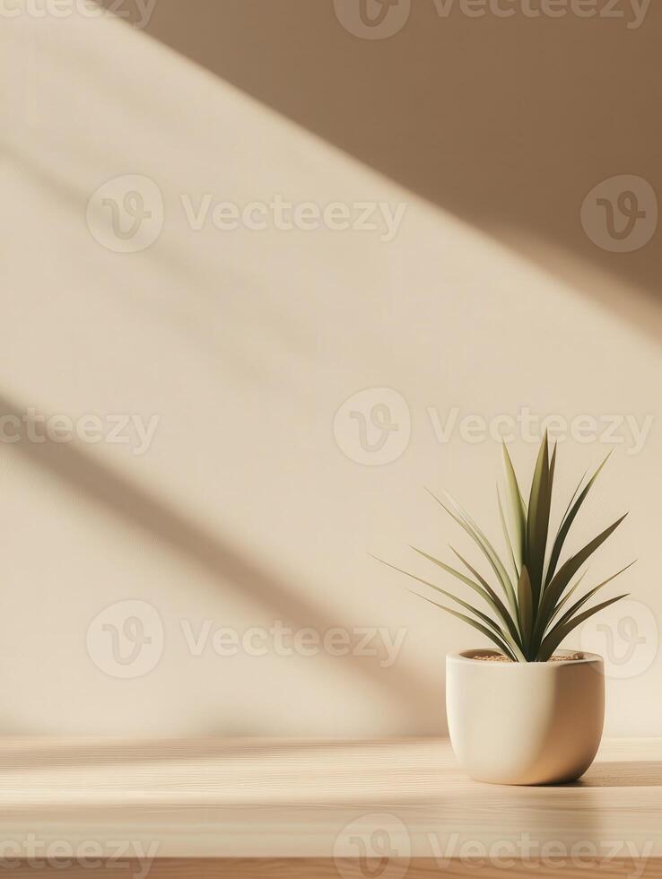 Bright indoor plant on wooden table with soft shadows in the background photo
