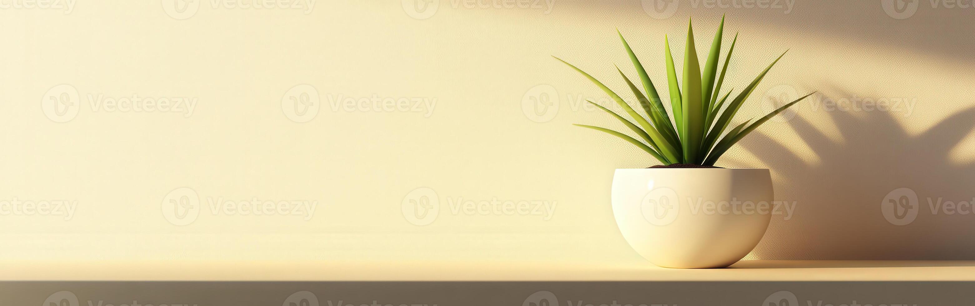 Sunlit green plant in a white pot on a wooden shelf in a cozy room photo