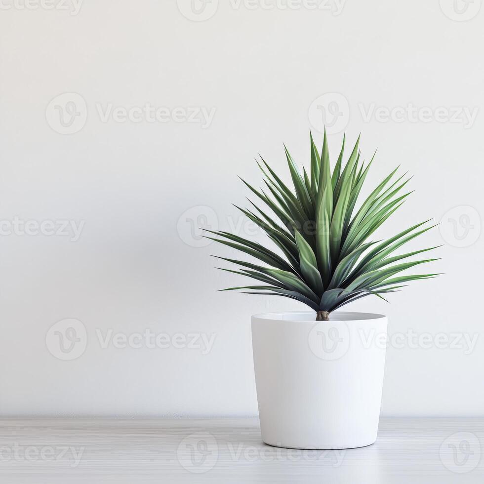 Green plant in a simple white pot on a light wooden table indoors photo