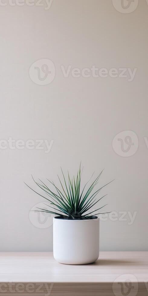Modern indoor plant in a minimalist pot against a light wall photo