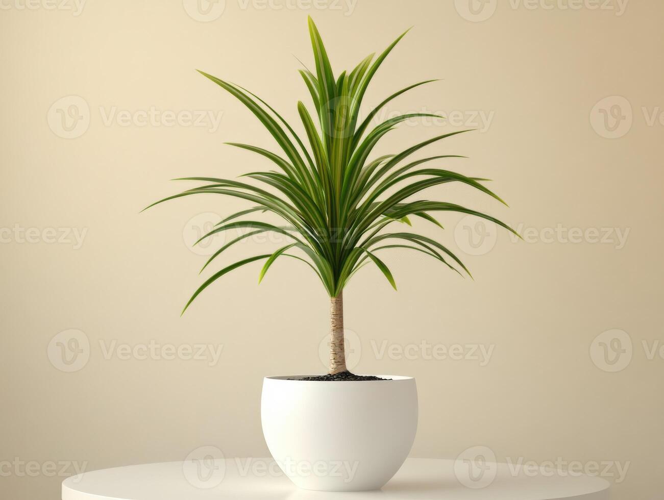 White pot plant on a light surface with a neutral backdrop photo