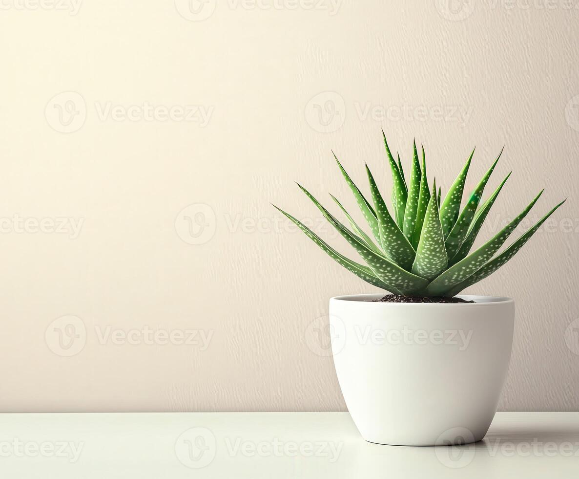 Aloe vera plant in a white pot on a minimalistic tabletop interior photo