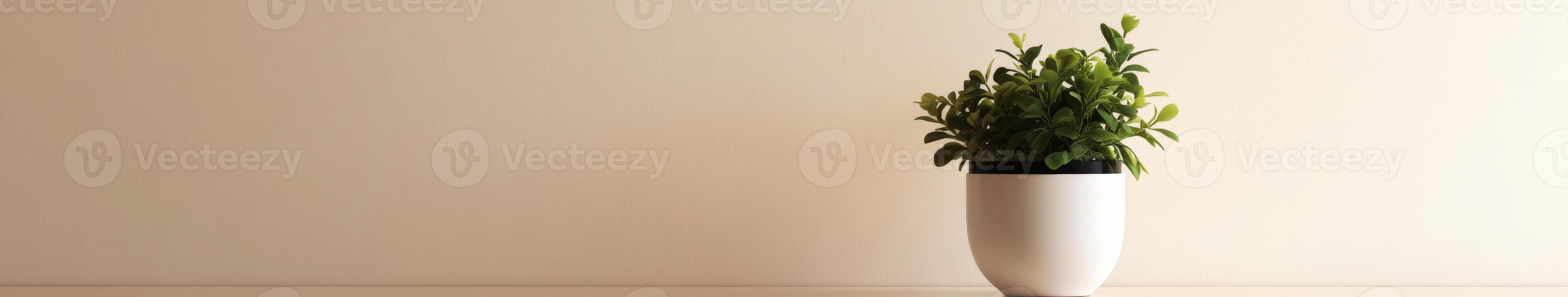 A small green plant in a white pot on a table against a beige wall photo