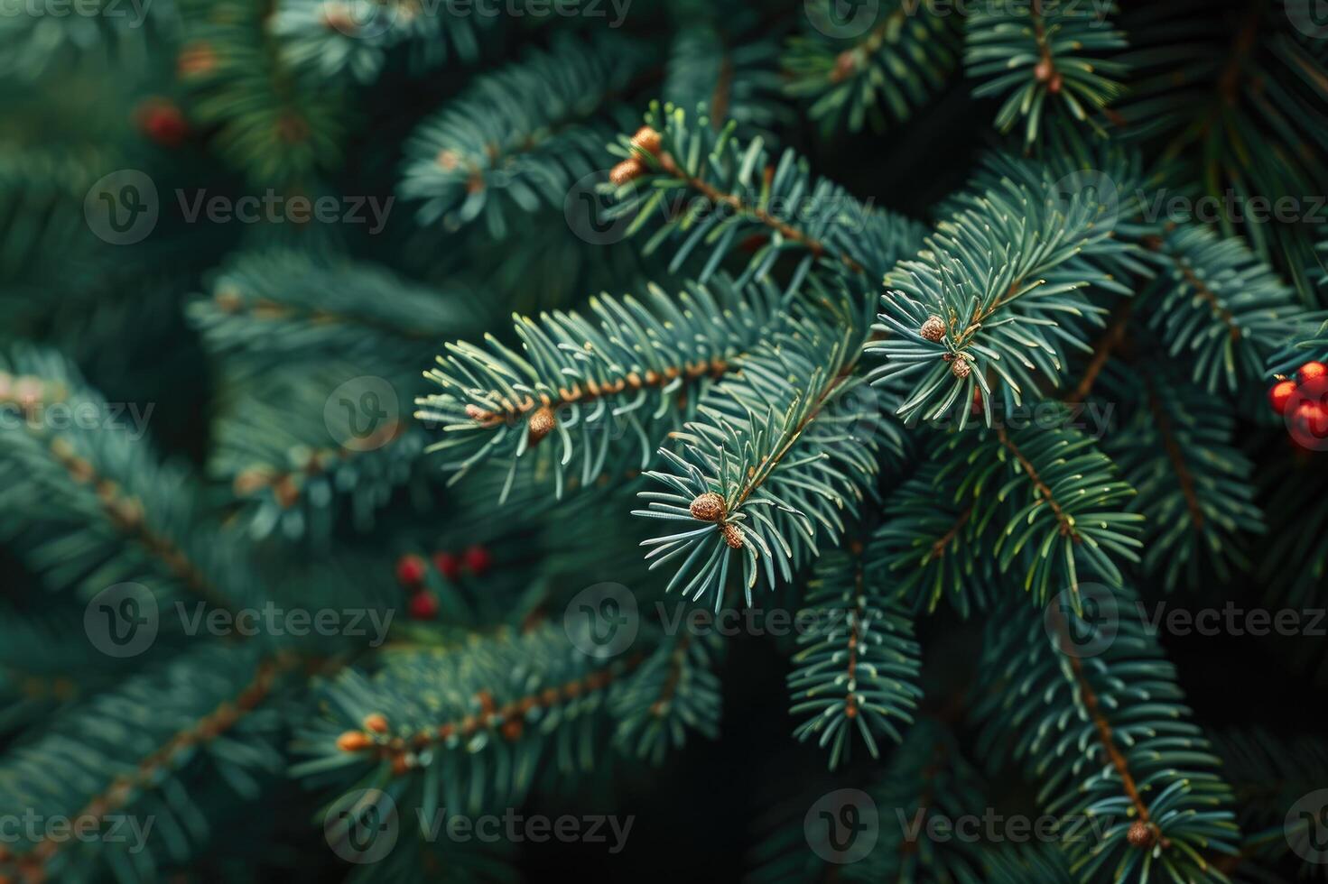 Christmas tree branches creating festive holiday background image photo