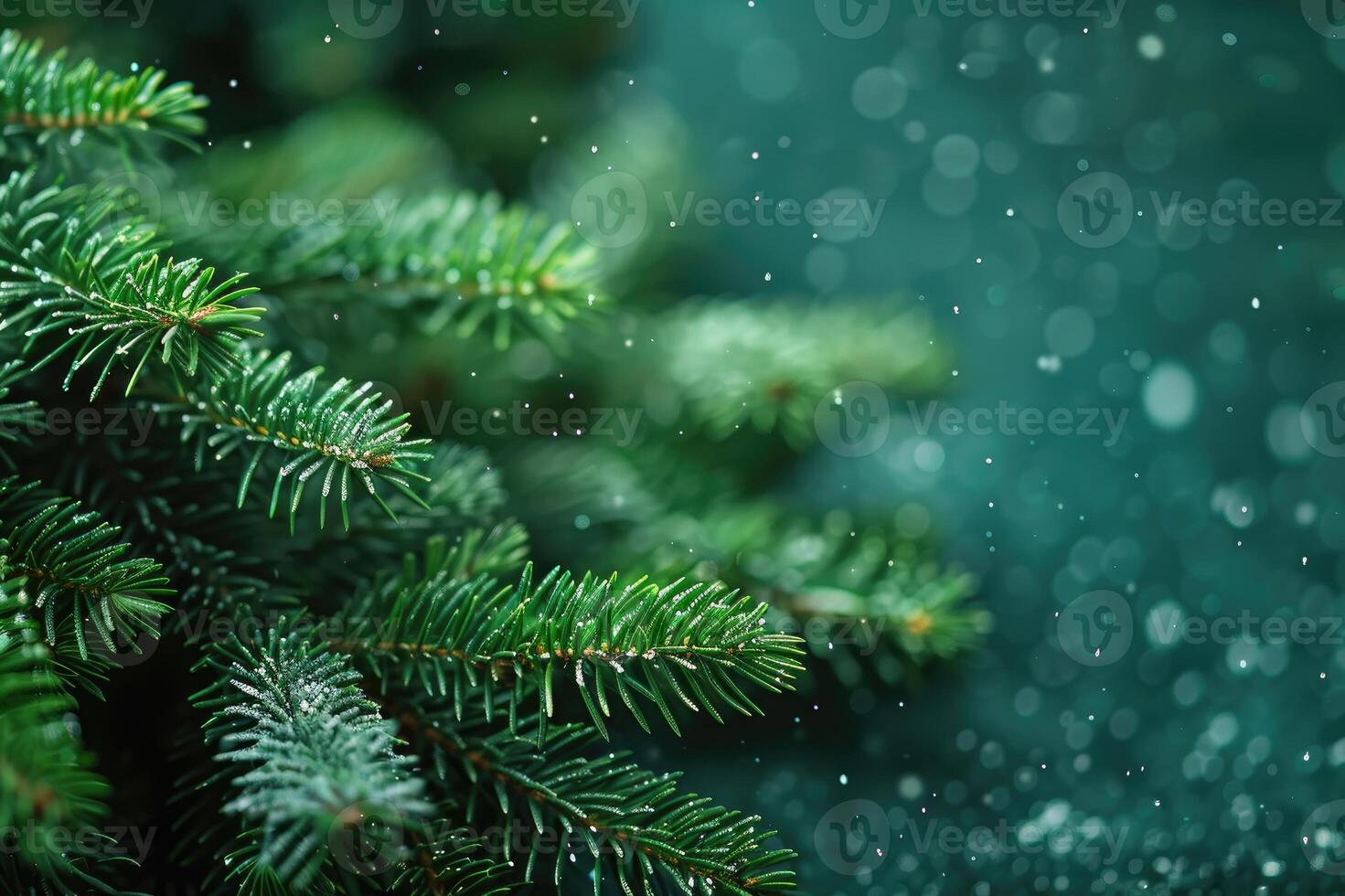Snow falling on pine tree branches on turquoise background photo
