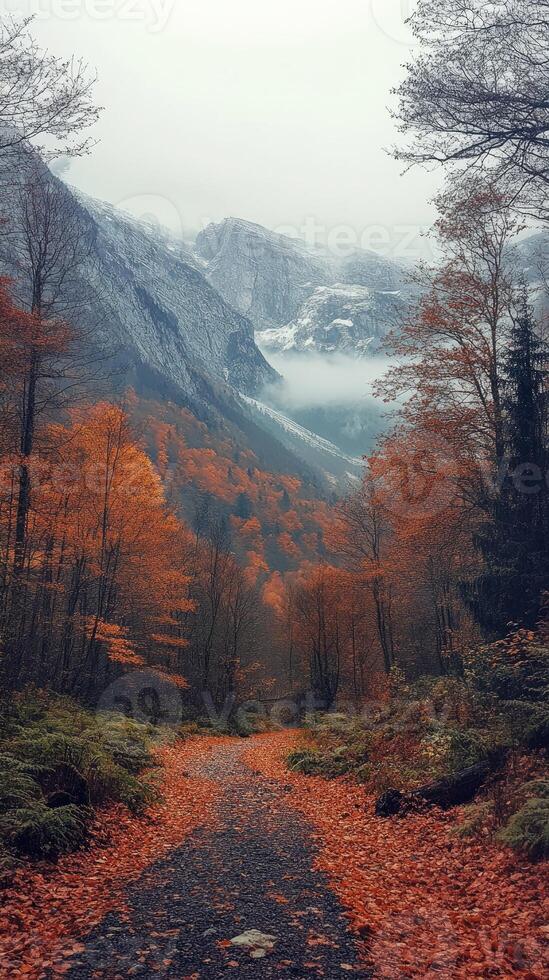 Hiking trail covered in fallen leaves leading to misty snow capped mountains photo