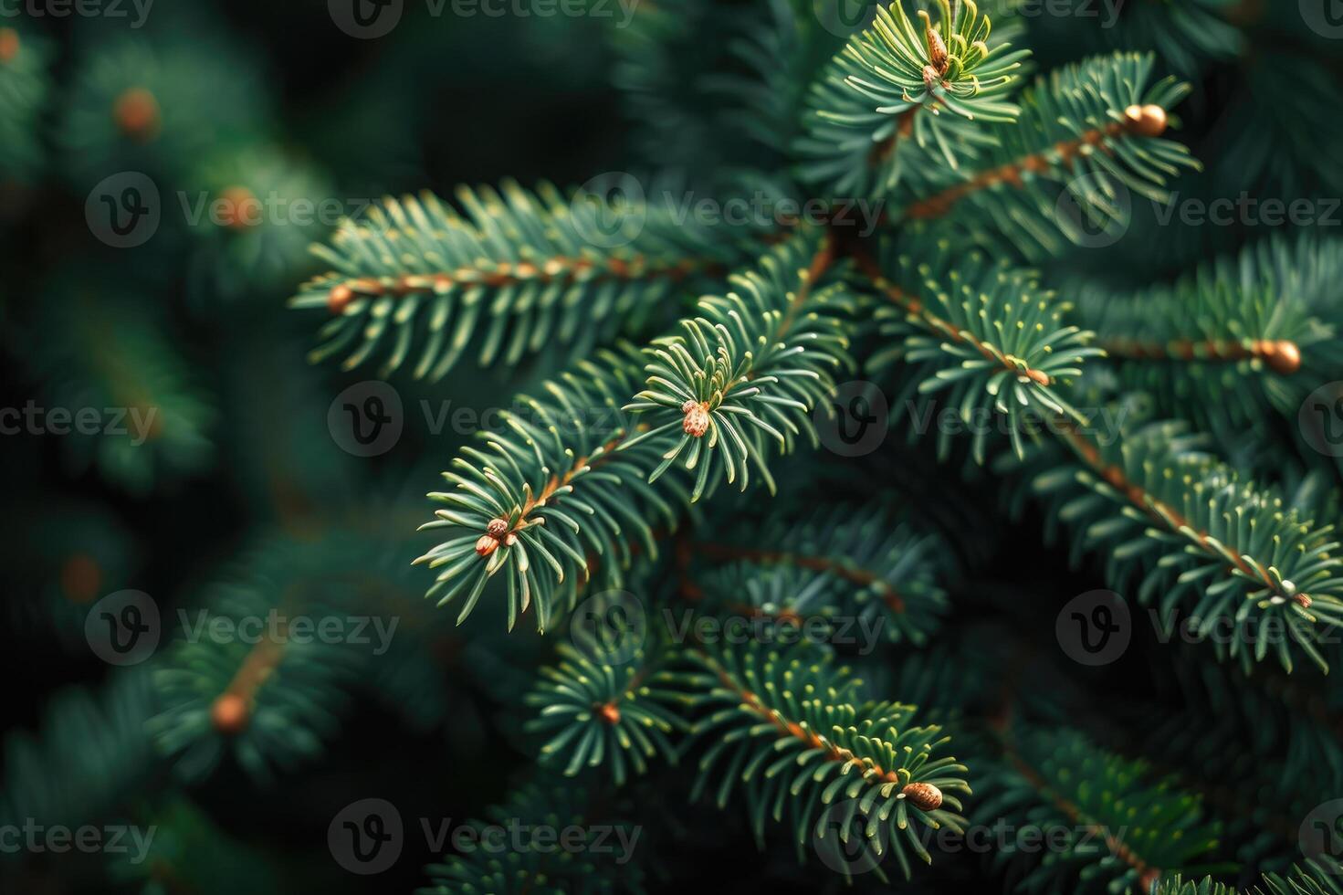 Christmas tree branches creating festive holiday background image photo