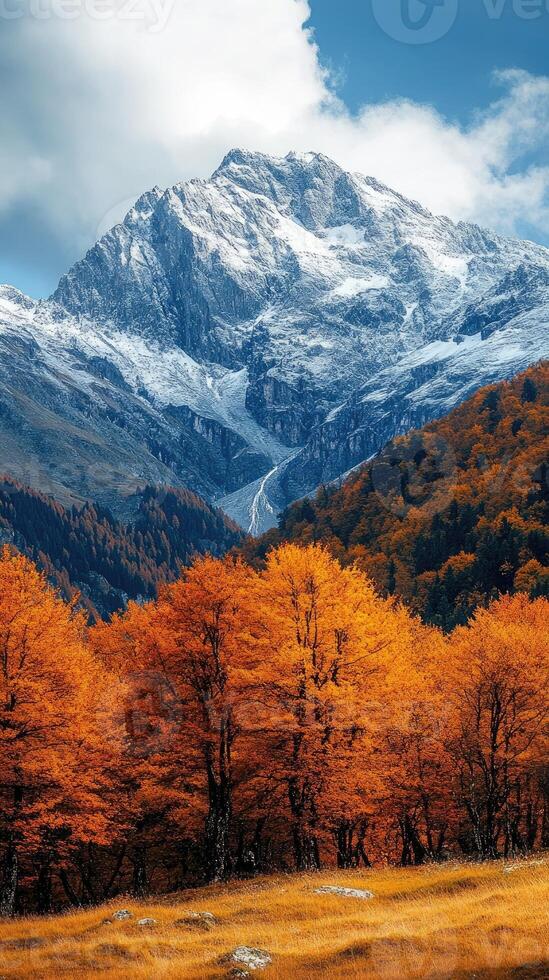 Autumn colors exploding below snow capped mountain peak photo