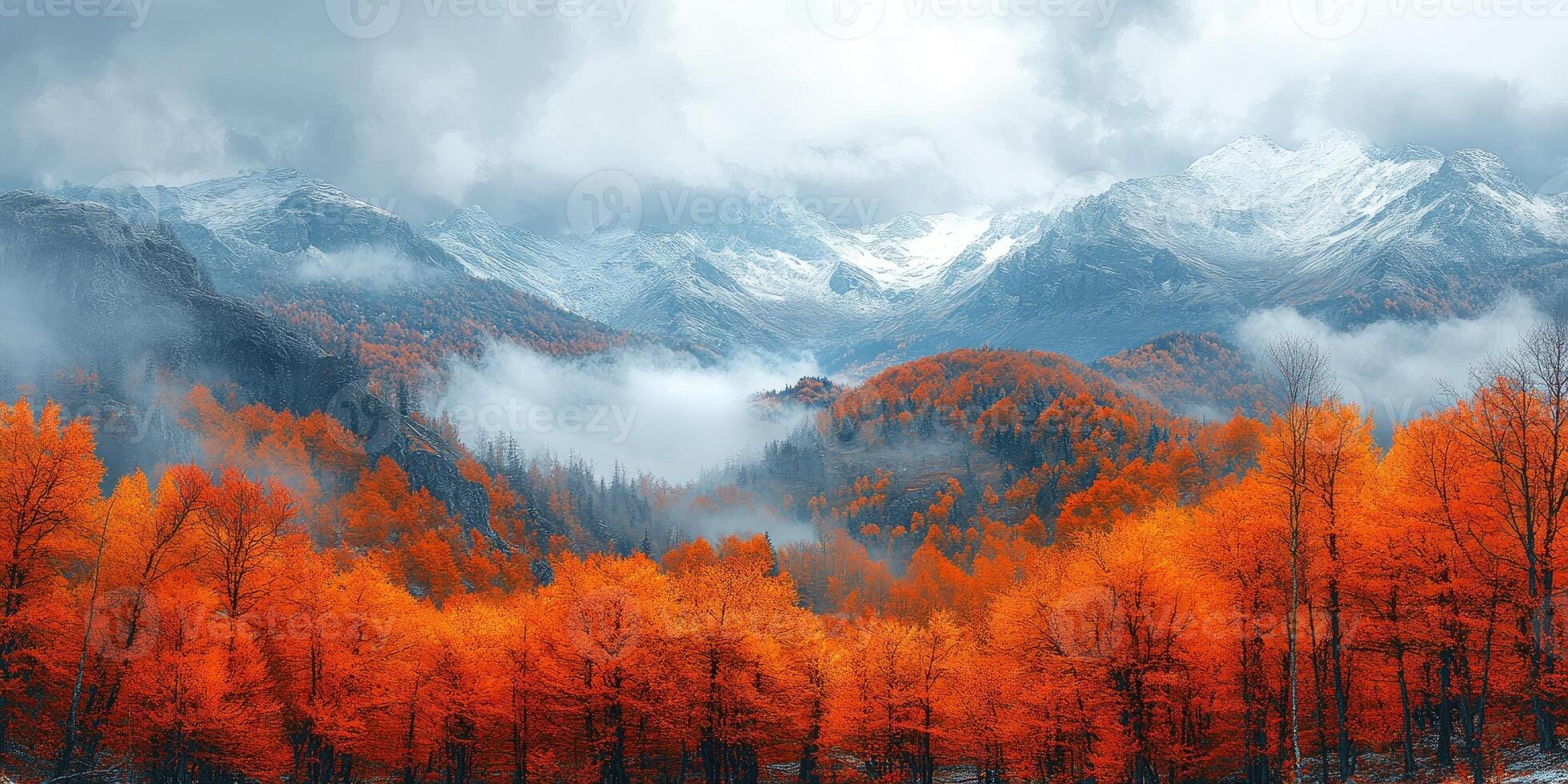 Dramatic autumn scenery with colorful forest covering mountains photo
