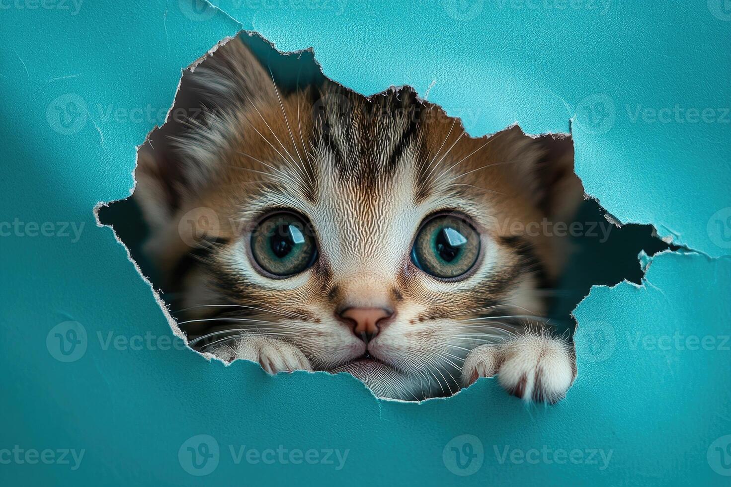 Cute ginger kitten peeking out of torn paper hole photo