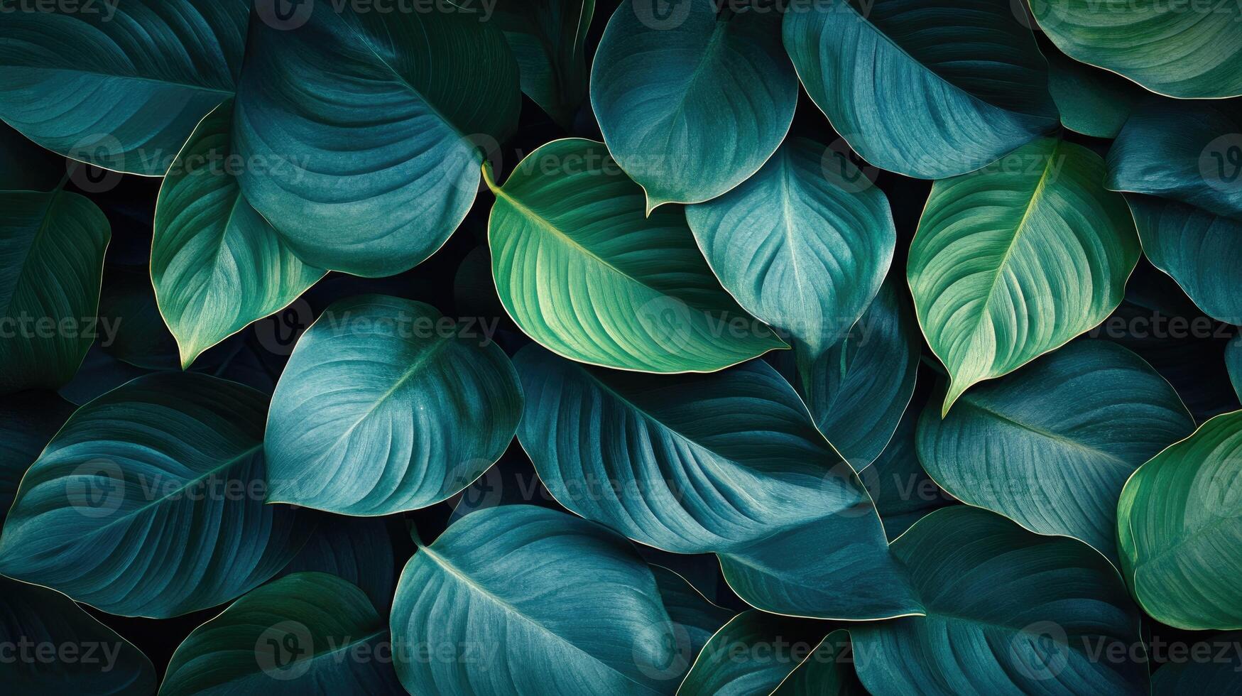 Tropical green leaves pattern forming natural background with copy space photo