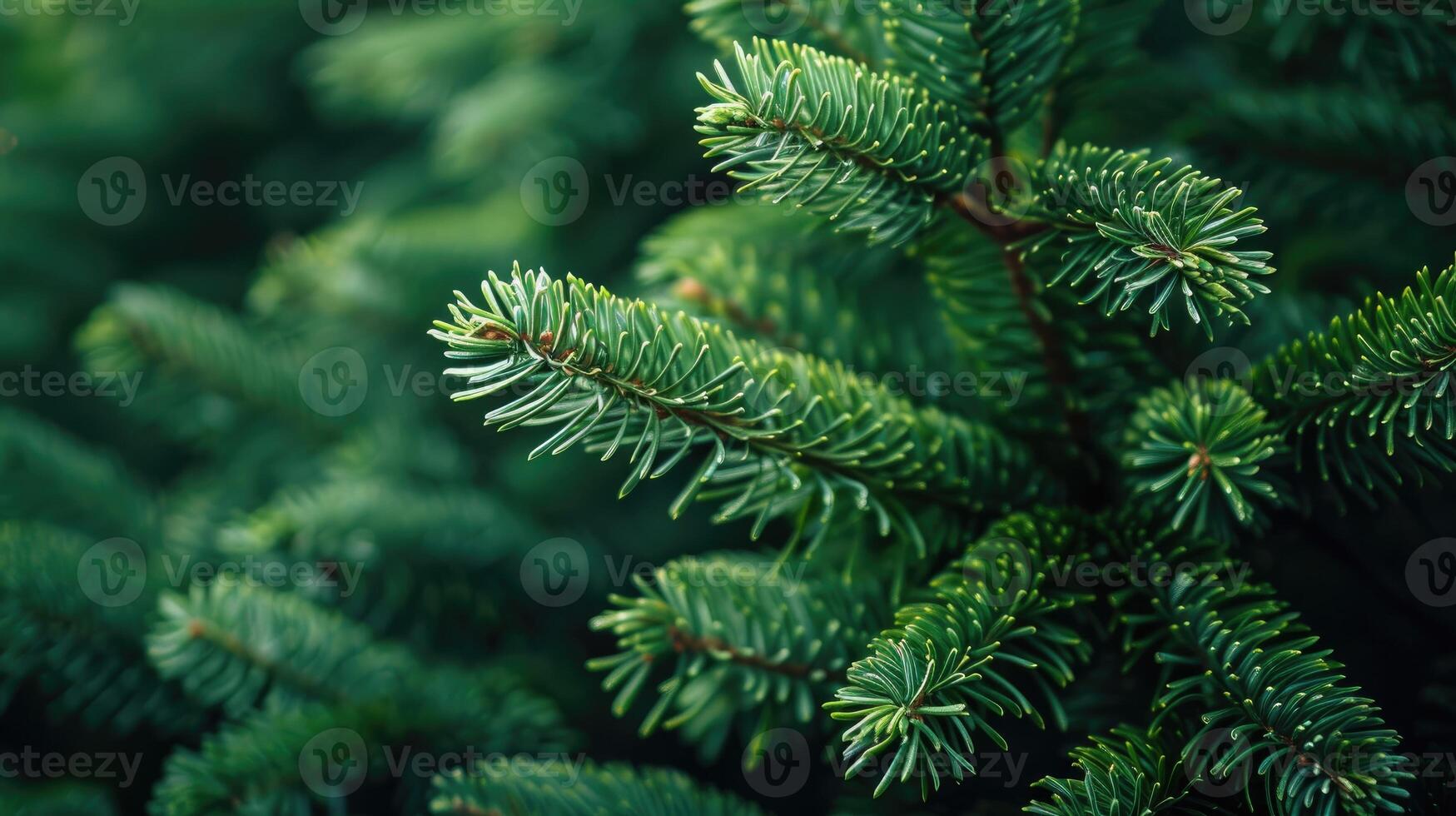 Christmas tree branches creating festive holiday background image photo
