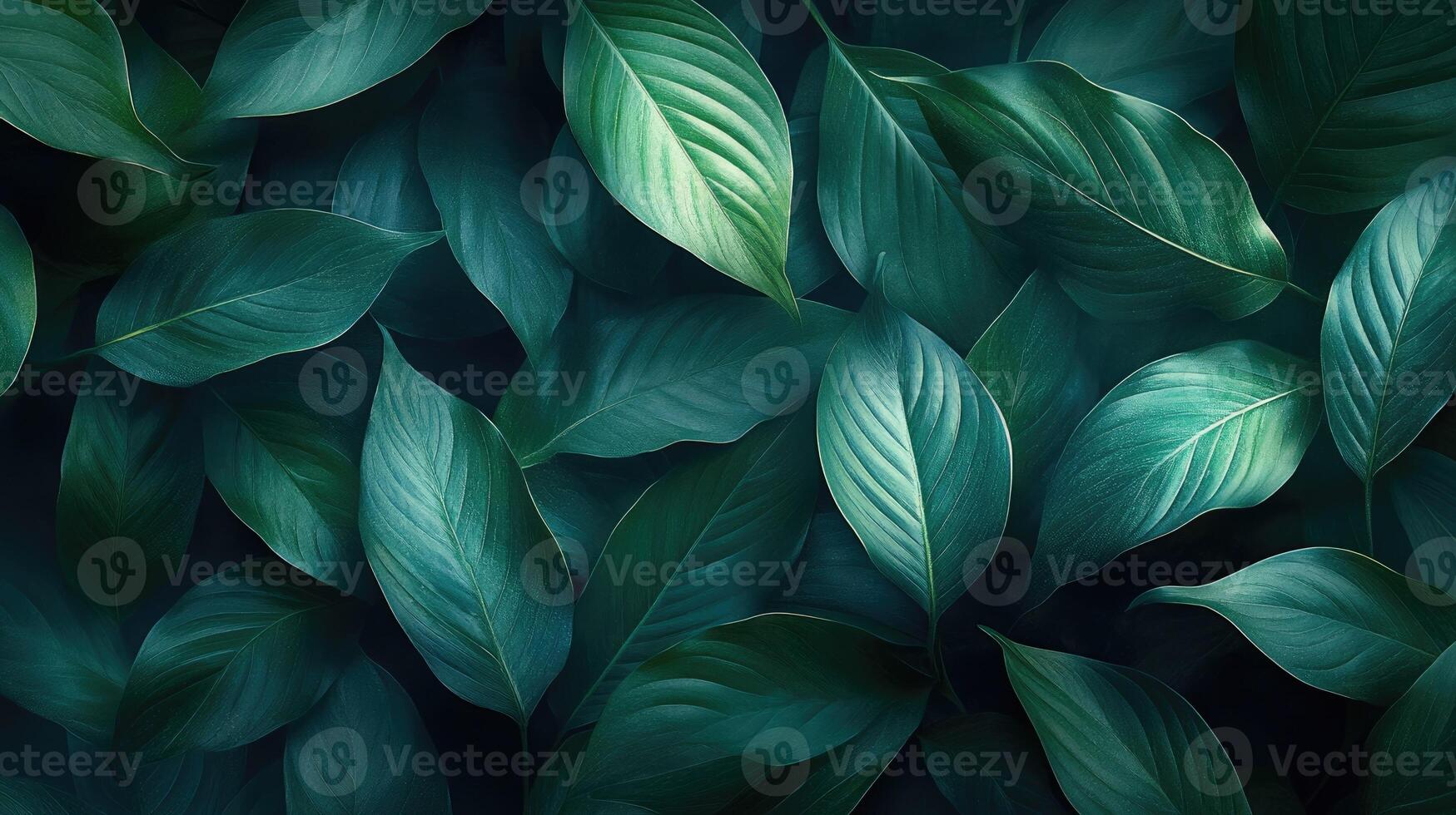 Tropical green leaves pattern forming natural background with copy space photo