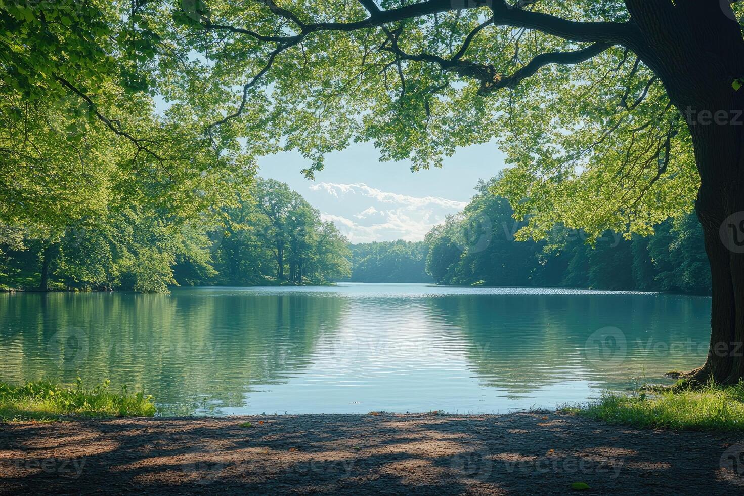 Beautiful summer landscape with trees framing a lake on a sunny day photo
