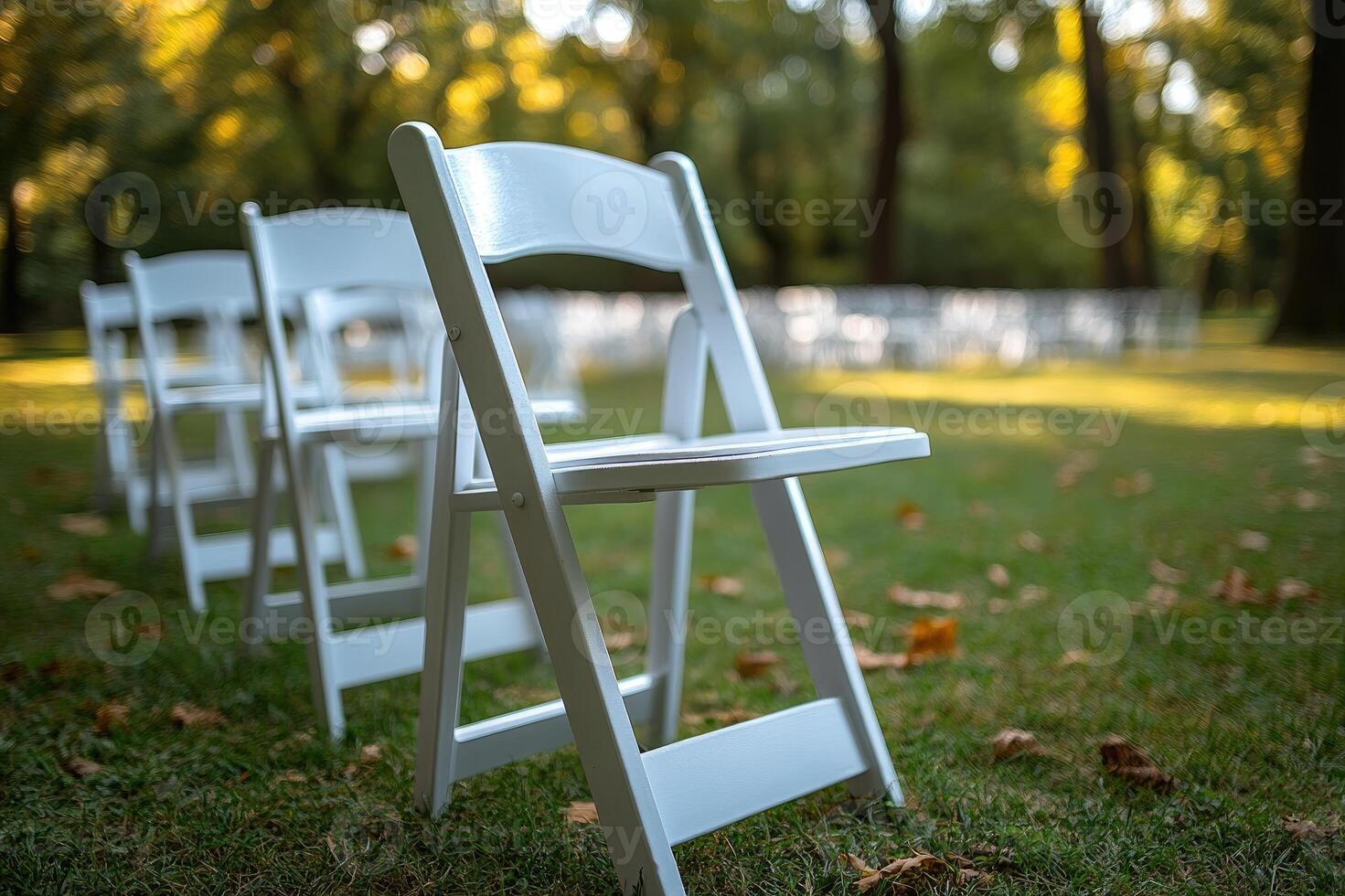Row of white folding chairs standing on grass for outdoor autumn wedding ceremony photo