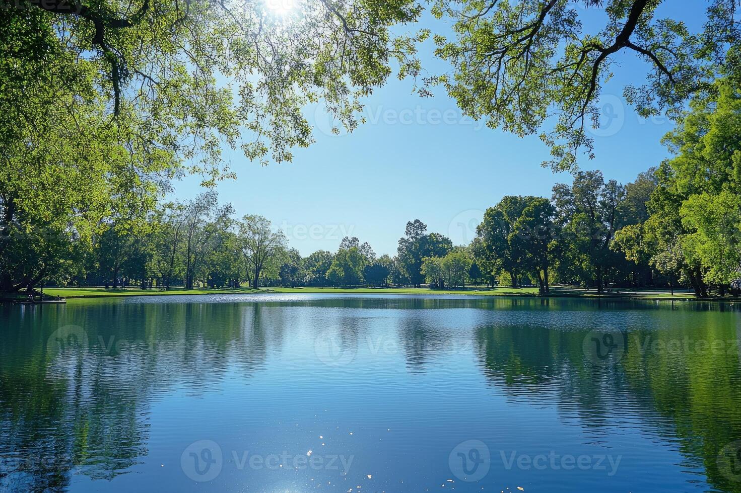 Sun shining through trees over tranquil lake on sunny day photo