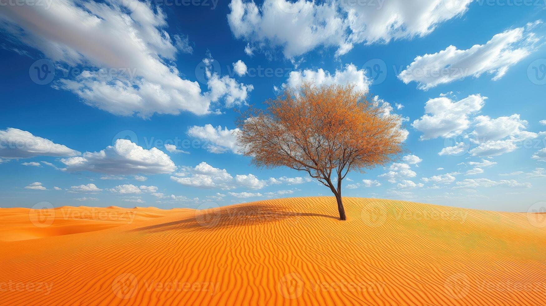 Lonely tree growing on sand dune under blue sky photo