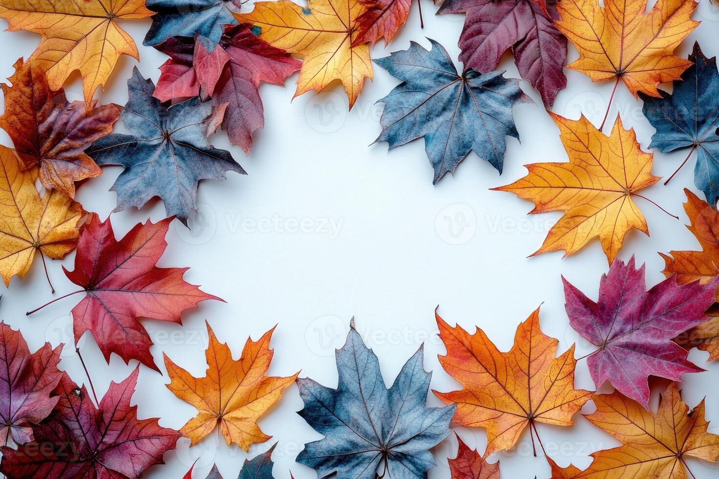 Colorful autumn maple leaves making frame on white background photo