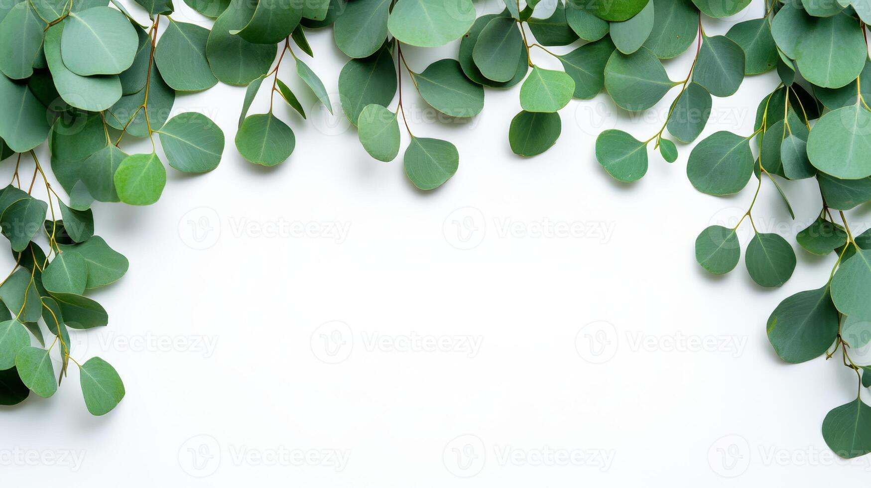 A tranquil eucalyptus branch set against a crisp white background, perfect for highlighting cosmetics, elegant cards, or promotional ads, providing ample space for tailored messages or branding photo