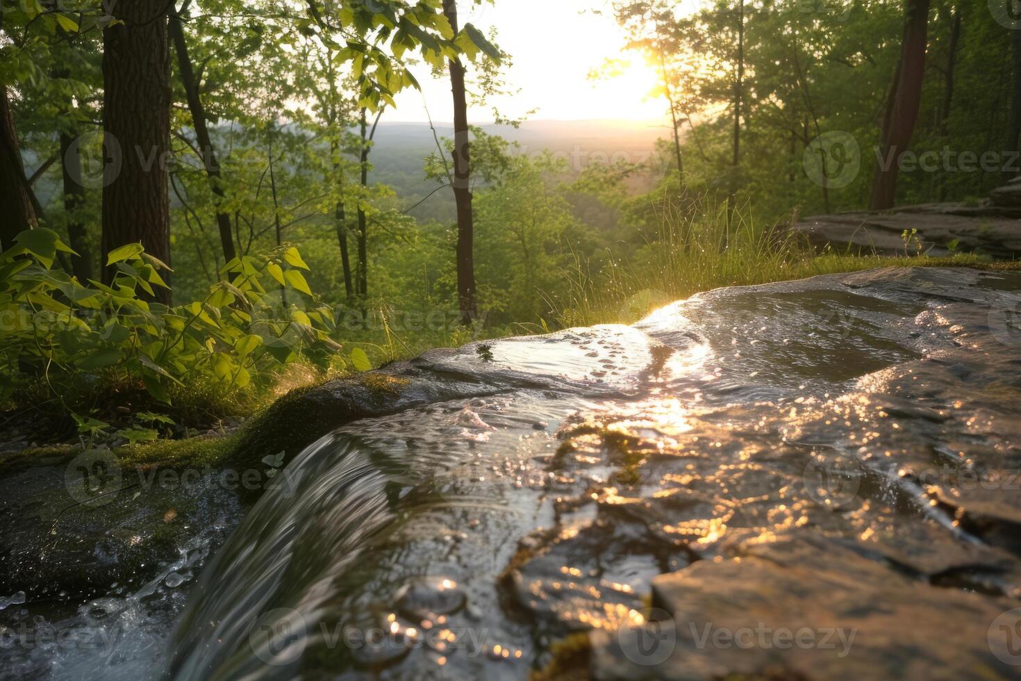 A tranquil forest waterfall is softly touched by golden sunrise, displaying natures calm and serene beauty photo