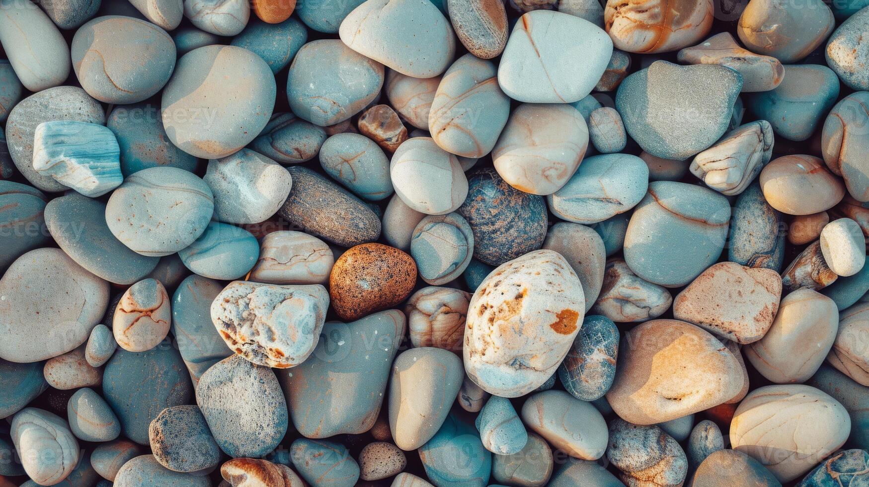 A close-up of smooth multicolored pebbles on a beach shoreline with natural light highlighting their textures. photo