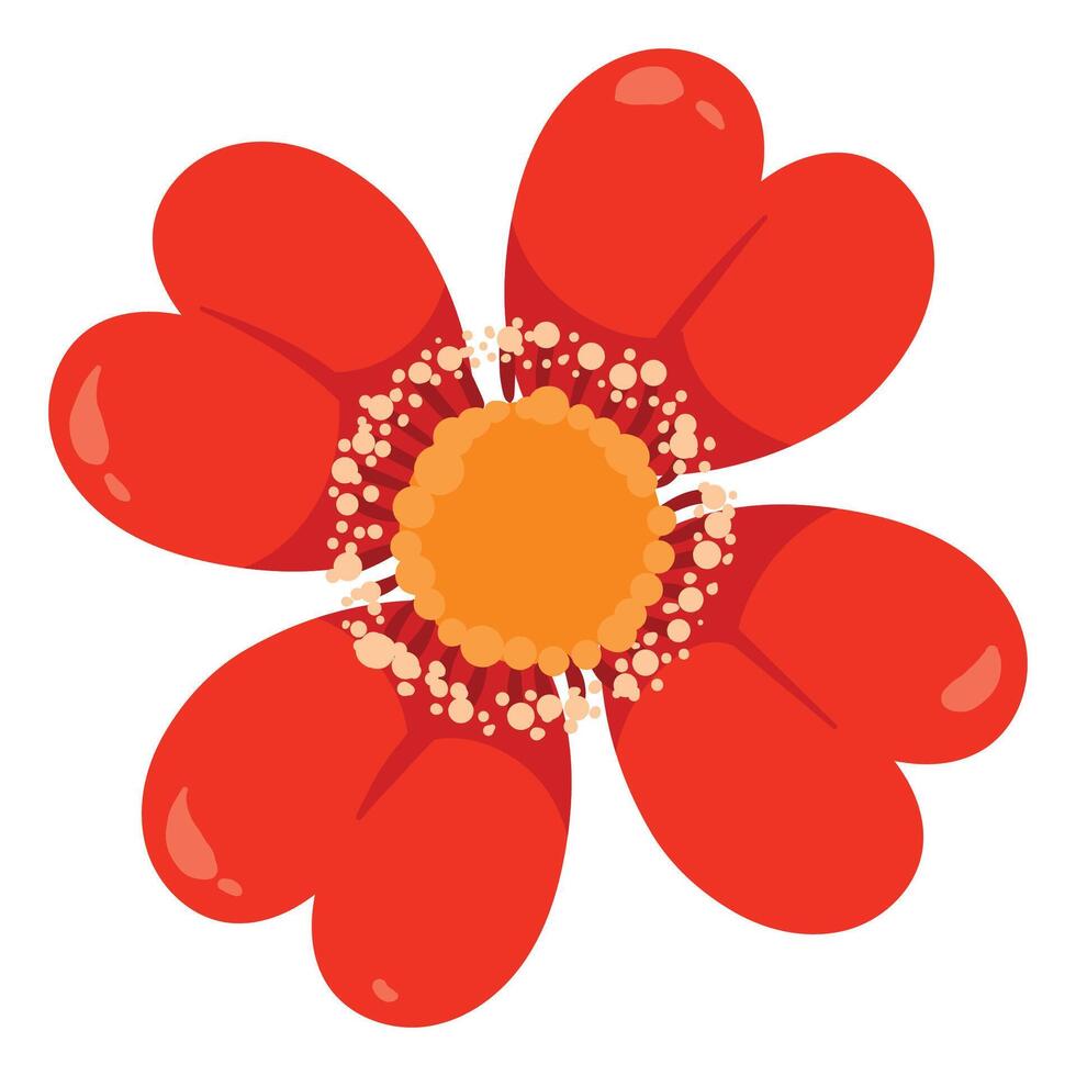 Hand drawn spring flower illustration on white background vector