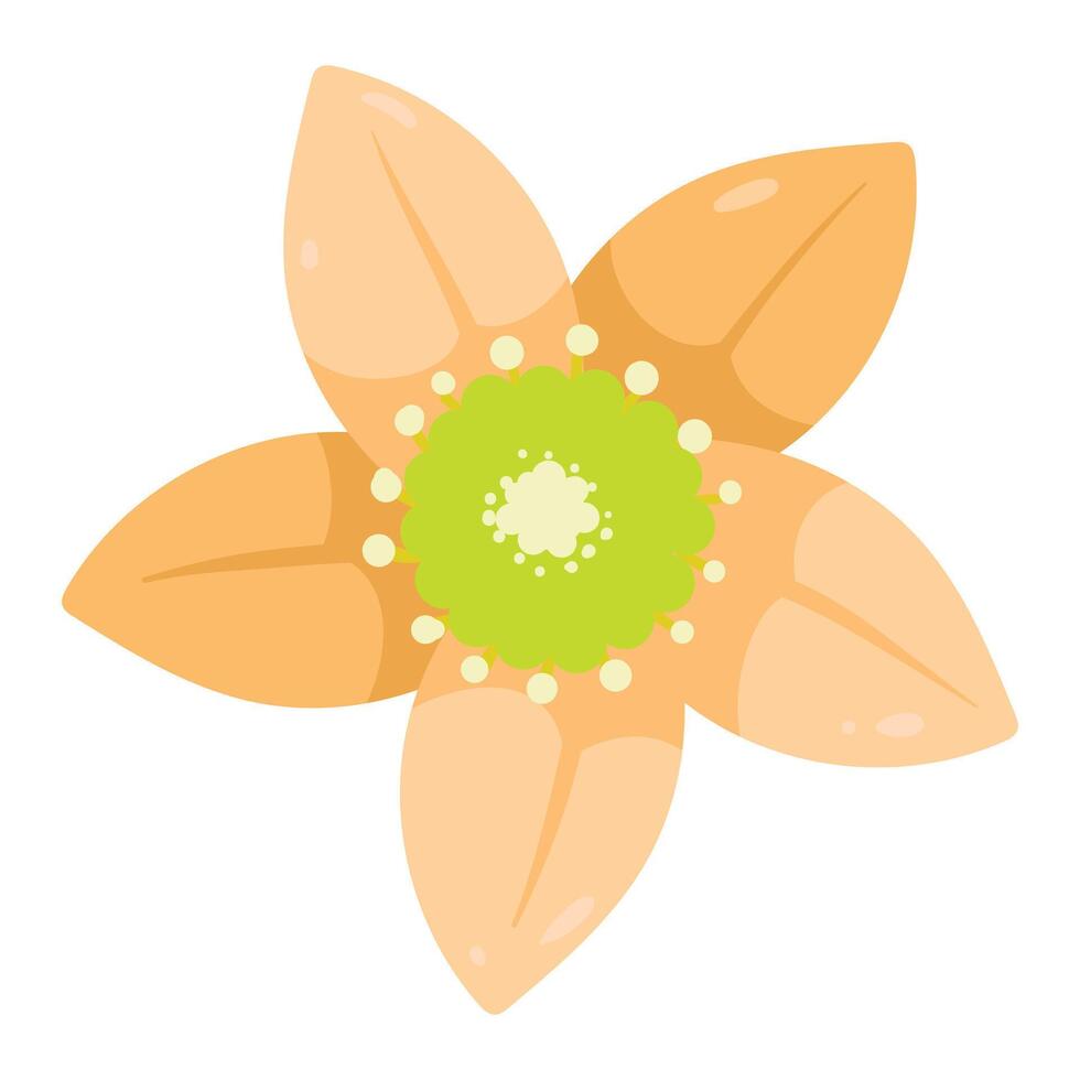 hand drawn colorful flower illustration on the white vector
