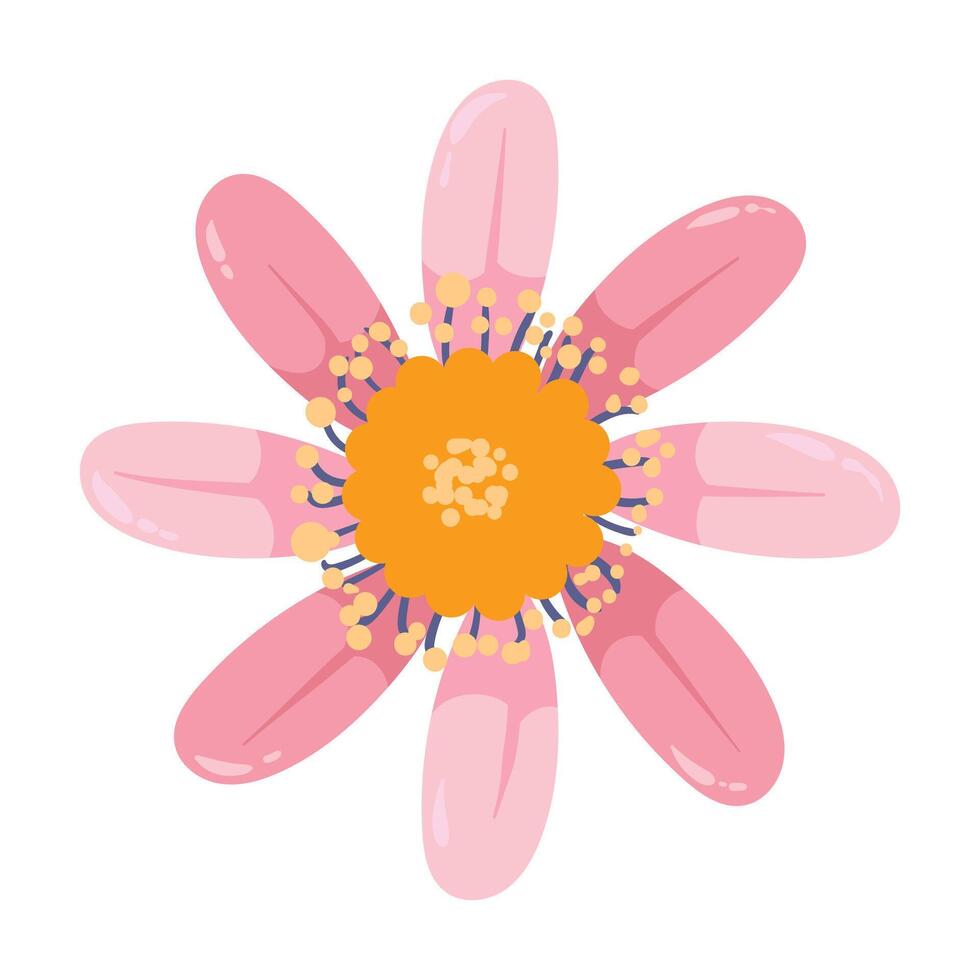 hand drawn colorful flower illustration vector