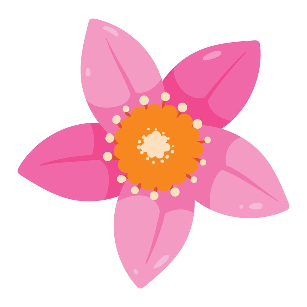 hand drawn colorful flower illustration on a white vector