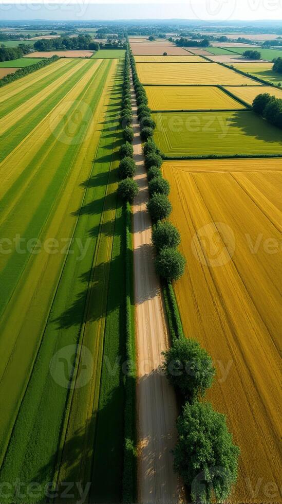 Aerial View of Farmland With Distinct Geometric Patterns Formed by Various Crops photo