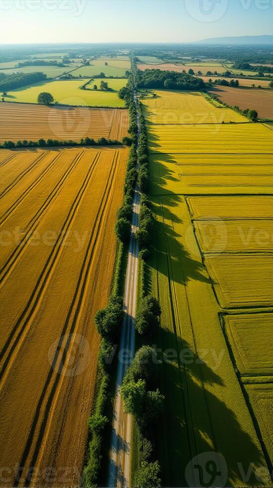 Aerial View of Farmland With Distinct Geometric Patterns Formed by Various Crops photo