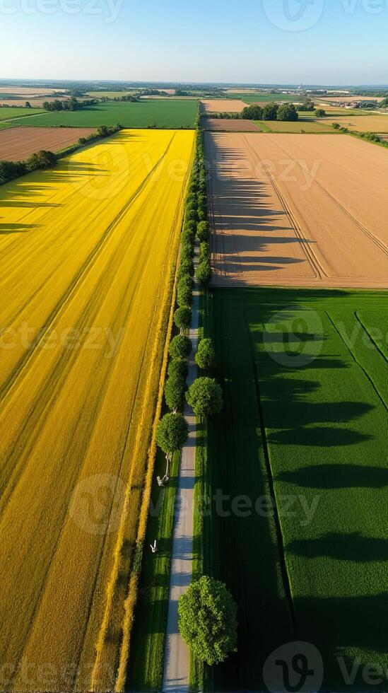 Aerial View of Farmland With Distinct Geometric Patterns Formed by Various Crops photo
