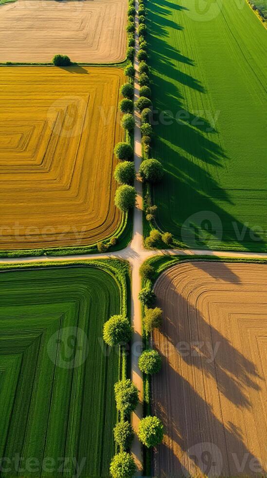 Aerial View of Farmland With Distinct Geometric Patterns Formed by Various Crops photo
