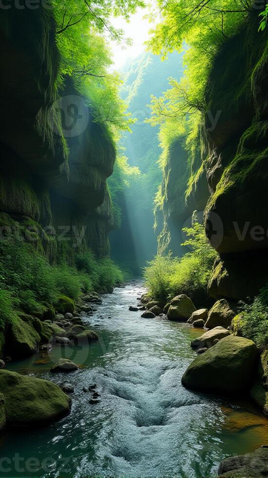 Serene and Narrow River Gorge With Lush Greenery, Sunlight Filtering Through the Foliage, Highlighting the Moss Covered Rocks photo