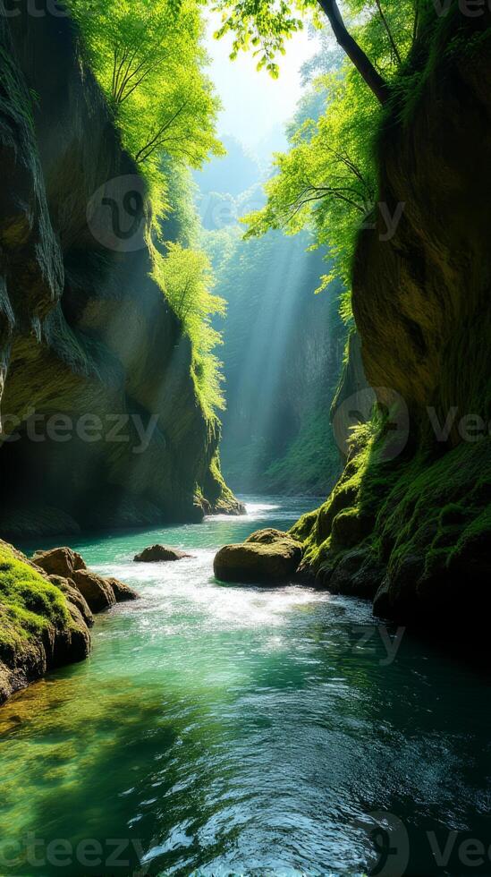Serene and Narrow River Gorge With Lush Greenery, Sunlight Filtering Through the Foliage, Highlighting the Moss Covered Rocks photo