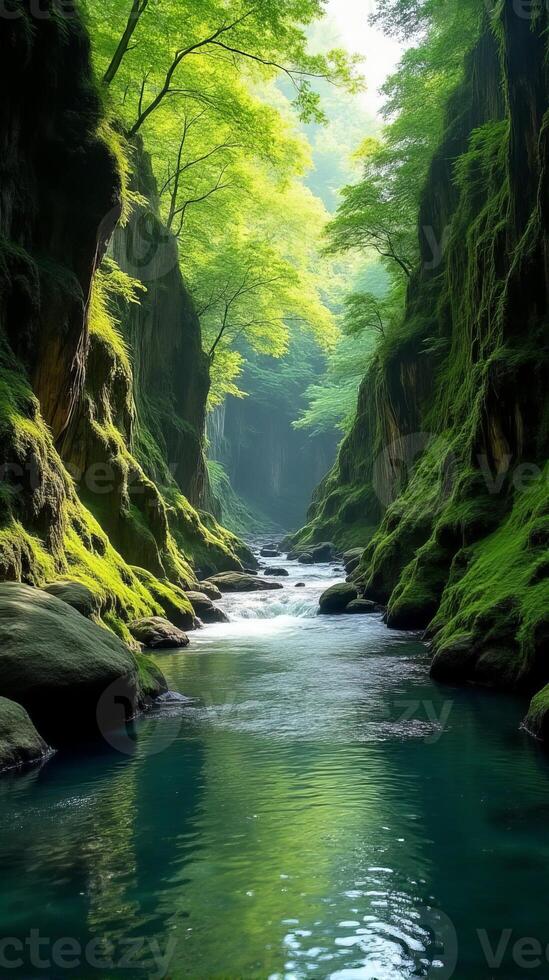 Serene and Narrow River Gorge With Lush Greenery, Sunlight Filtering Through the Foliage, Highlighting the Moss Covered Rocks photo