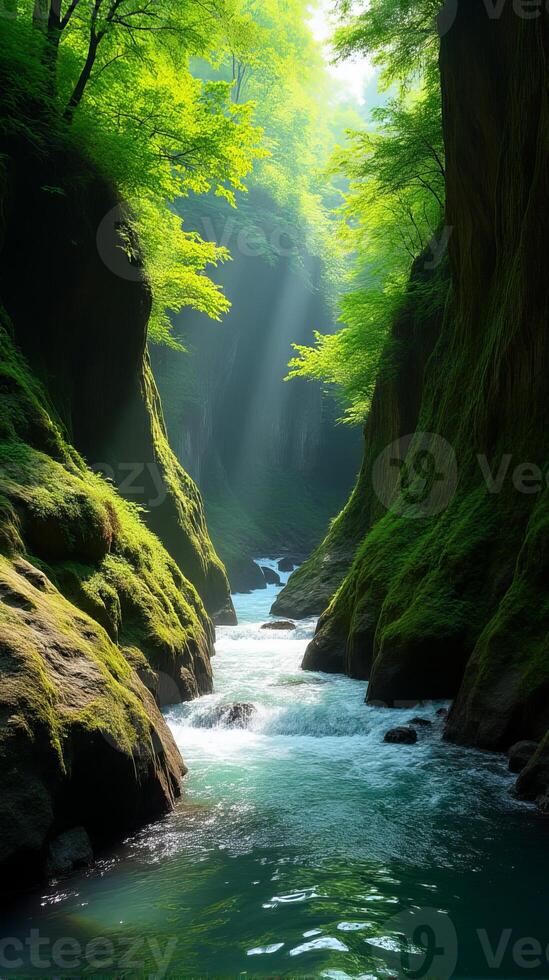Serene and Narrow River Gorge With Lush Greenery, Sunlight Filtering Through the Foliage, Highlighting the Moss Covered Rocks photo